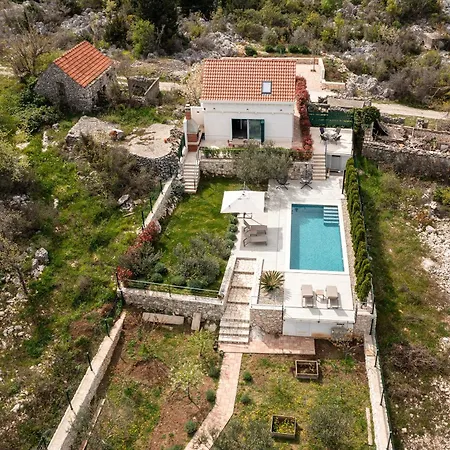 فيلة Stone Nest Podgrade