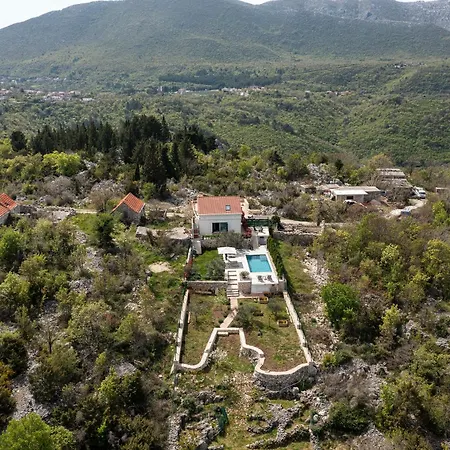 فيلة Stone Nest *